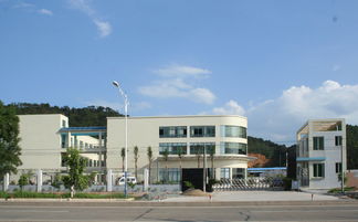 匠心獨運，木藝生輝 探訪高要市白土鎮潤和工藝品加工廠與鼎龍木業